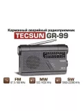 радиоприемник с динамо-генератором Tecsun GR-99 (export version) black
