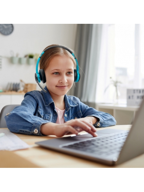 гарнитура Bluetooth  Dexibel Tender Go 