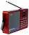 Цифровой радиоприемник с mp3 плеером Tecsun ICR-110 (export version) red