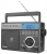 Переносной радиоприемник с MP3 плеером Retekess TR629 