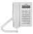 телефонный аппарат стационарный Sanyo RA-S306 white